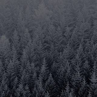 Apple default wallpaper