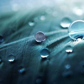 Top rated newest wallpaper