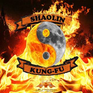 Shaolin logo wallpaper
