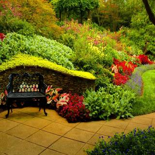 HD garden background