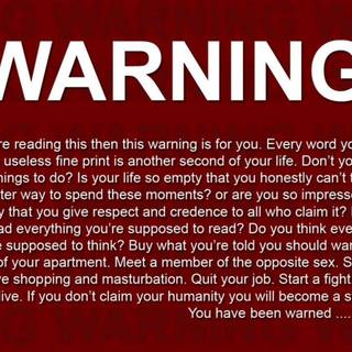 Funny 1080p wallpaper