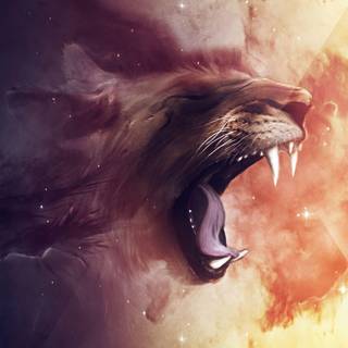 Cool wallpaper HD 1920x1080