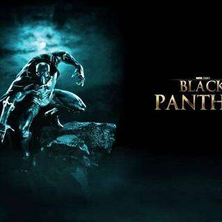Black background panther design