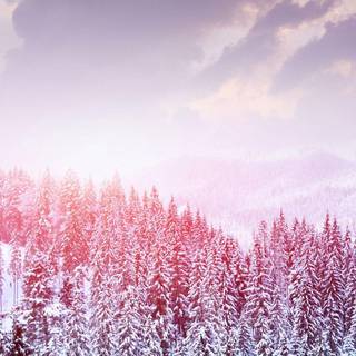 Pretty tumblr wallpaper