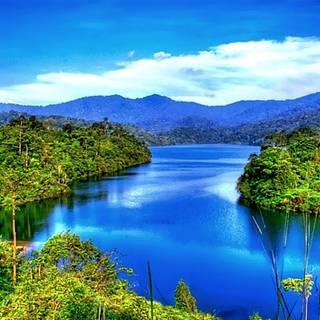 Beautiful river wallpaper