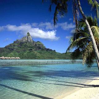 Free summer backgrounds for computer