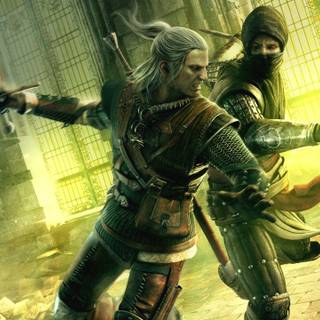 The witcher 2 background