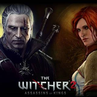 The witcher 2 background