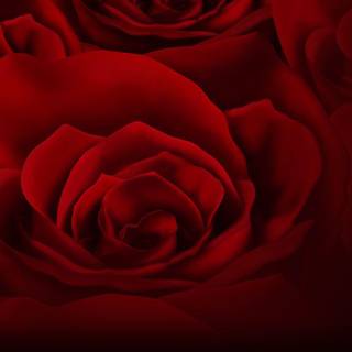 Red background for twitter