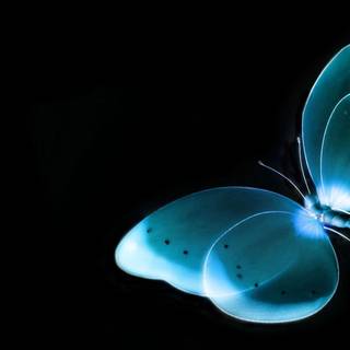 Latest wallpaper in 3d