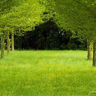 Free beautiful wallpaper for laptop