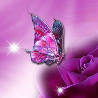 Free 3D wallpaper butterfly