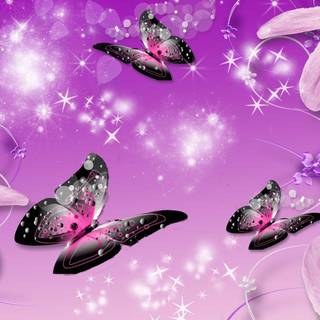 Free 3D wallpaper butterfly