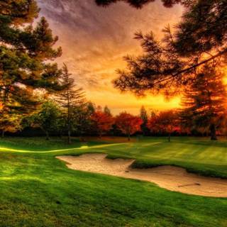 Summer nature backgrounds