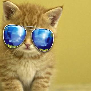 Cool baby animal wallpaper