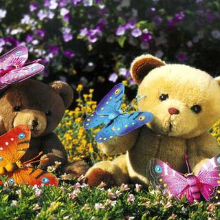 Beautiful teddy bears wallpaper