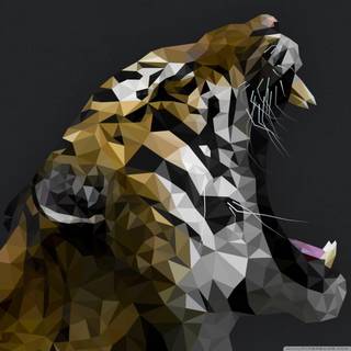 Ipad wallpaper camouflage