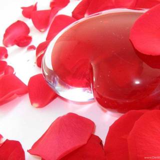 Beautiful hearty wallpaper