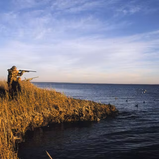 Duck hunting background