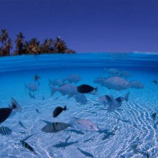 Wallpaper blue beach