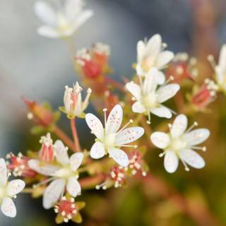 Beautiful wallpaper for desktop full screen