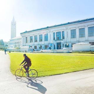 Wallpapers of breckley