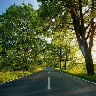 Background landscape images