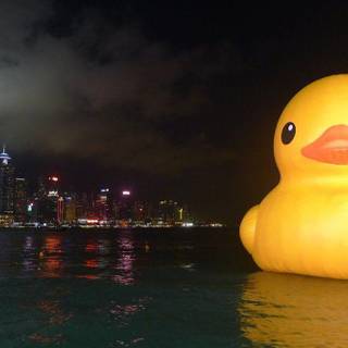 Rubber duck wallpaper