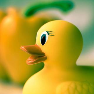 Rubber duck wallpaper