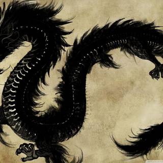 Wallpaper dragon black