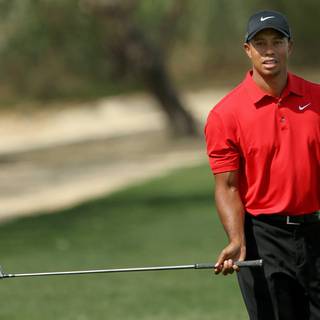 Tiger woods logo wallpaper