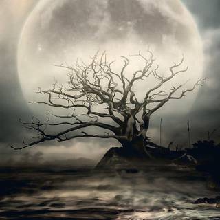 Wallpaper backgrounds deviantart