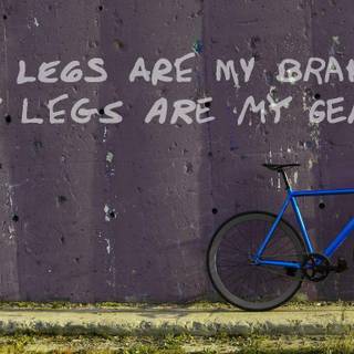 Fixie bike desktop wallpaper