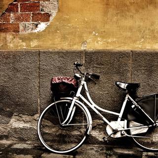 Fixie bike desktop wallpaper