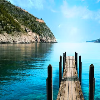 Mobile9 cute birds wallpaper