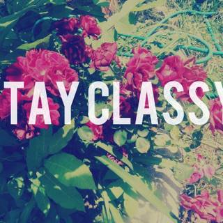 Wallpapers of stay classy