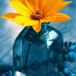 5 inch mobile wallpaper