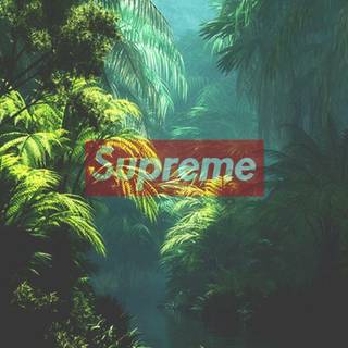 Supreme woodland wallpaper