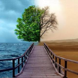 HD 3D wallpaper landscape