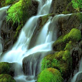 Beautiful sceneries wallpaper for desktop