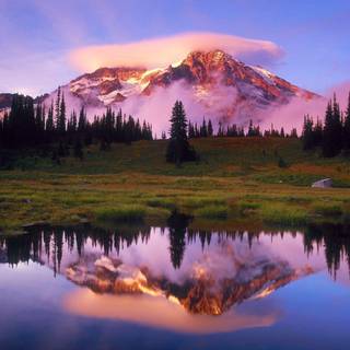 Beautiful sceneries wallpaper for desktop