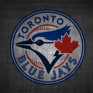 Blue jays desktop wallpaper