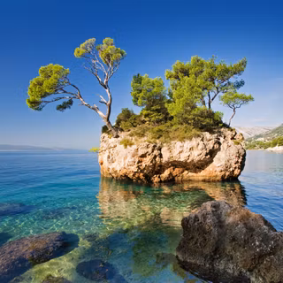 Discovery HD wallpaper