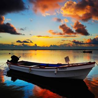 High quality wallpaper 1080x1920