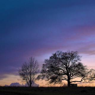 Nature HD wallpaper purple sky