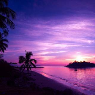 Nature HD wallpaper purple sky