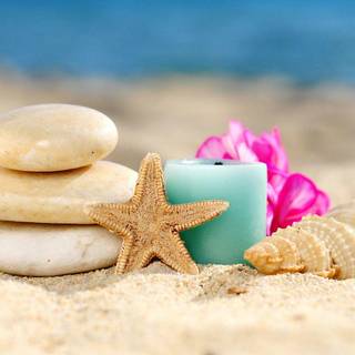 Shutterstock mobile wallpaper