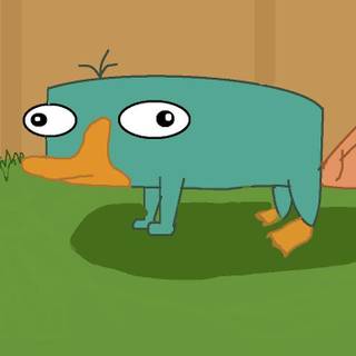 Baby perry the platypus wallpaper