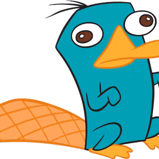 Baby perry the platypus wallpaper