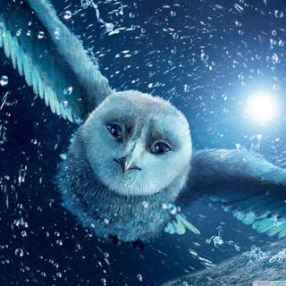 Wallpaper burung